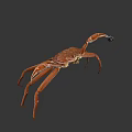Realistic Brown Crab With Extended Legs And Detailed Claws On Gray Background