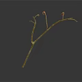 Dry Plant Branch With Thin Twigs And Small Red Fruits On Gray Background
