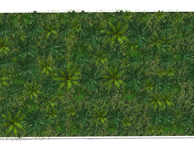 Lush Vertical Plant Wall with Diverse Green Leafy Foliage for Decorative Design 3d model