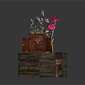 Blooming Cactus And Orchid Plants In Wooden Planters And Open Wooden Boxes