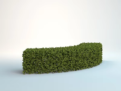 Curved Green Shrub With Dense Foliage And Well Trimmed Appearance In Simple White Background 3d model