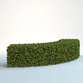 Curved Green Shrub With Dense Foliage And Well Trimmed Appearance In Simple White Background