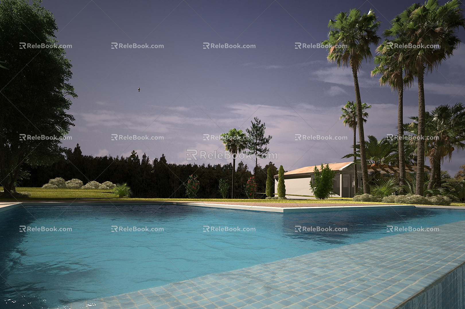 Modern Swimming Pool 3d model