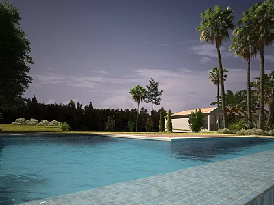 Outdoor Swimming Pool With Clear Water Palm Trees Lawn Tiled Edge And Distant Buildings 3d model