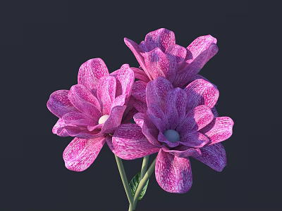 Three Pink And White Striped Flowers With Green Stems And Leaves On Dark Background 3d model