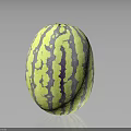 Fresh Yellow And Purple Striped Round Watermelon With Vibrant Exterior And Smooth Texture