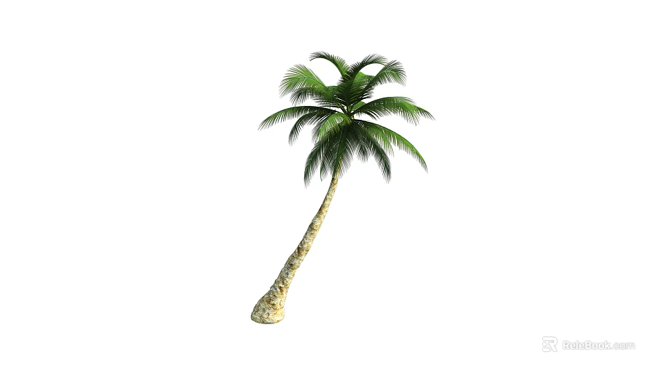 Tropical Palm Tree With Lush Green Fronds And Sturdy Trunk In Natural Environment 3d model 