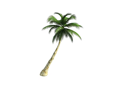 Tropical Palm Tree With Lush Green Fronds And Sturdy Trunk In Natural Environment 3d model