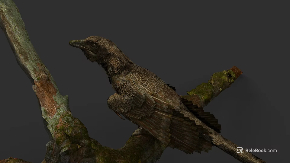 Detailed Bird With Textured Feathers Perched On Moss Covered Tree Branch 3d model 