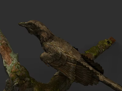 Detailed Bird With Textured Feathers Perched On Moss Covered Tree Branch 3d model