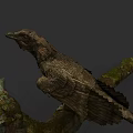 Detailed Bird With Textured Feathers Perched On Moss Covered Tree Branch