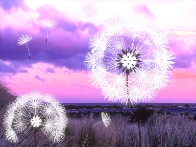 Beautiful Dandelion Seeds Floating In Purple Pink Sky Over Grass Field 3d model