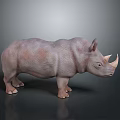 Detailed 3D Rhinoceros Model Rendering With Realistic Texture And Gray Background