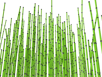 Dense Green Bamboo Grove With Tall Straight Stalks And Fresh Leaves 3d model
