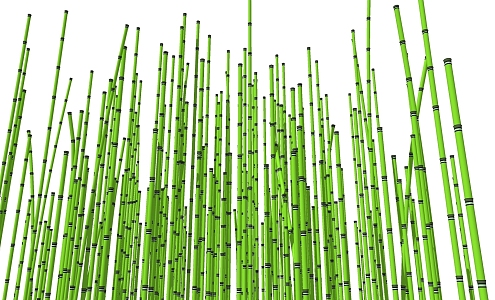 Modern Bamboo Shrub Grass 3d model