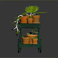 Various Green Plants In Orange Pots On Mobile Green Cart With Wheels