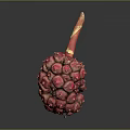 Close-Up Of Fresh Red Fruit With Spiky Surface And Stem On Dark Background
