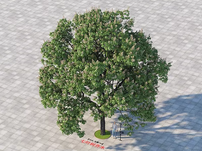 Green Arbor with Dense Green Leaves and Thick Trunk on Brick Paved Ground 3d model