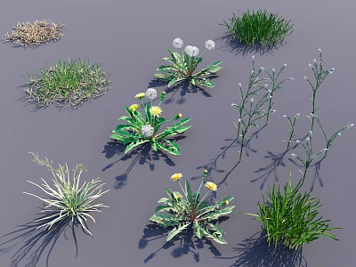 Diverse Collection Of Green Plants Featuring Dandelion Grass And Herbaceous Species 3d model