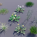 Diverse Collection Of Green Plants Featuring Dandelion Grass And Herbaceous Species