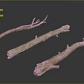 Dried Plant Branches with Natural Texture for Home Decor on Smooth Dark Surface