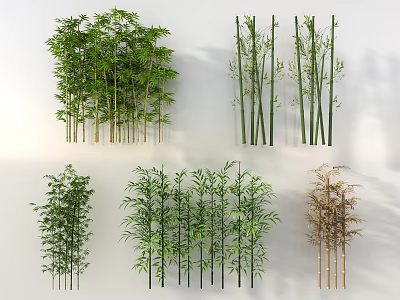 Various Types of Green Bamboo Plants with Different Heights and Leafy Stalks 3d model
