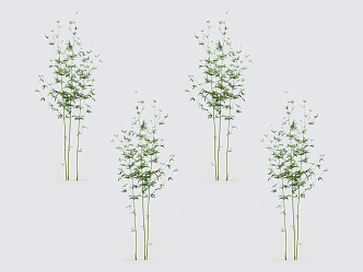 Modern bamboo 3d model