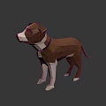 Low Poly Brown And White Dog With Collar On Gray Background And Reflection 3d model