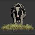 Black and White Spotted Cow Standing on Green Grass with Simple Background