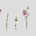 Vibrant Purple White and Pink Flowers with Green Stems and Leaves on Gray Background