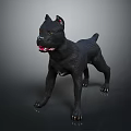 Black Dog Standing Alert with Perked Ears and Tongue Out on Dark Background