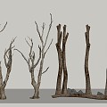 Dead Tree Dried Branch Decorative Tree Bifurcation Art Dead Branch Tree Branches 3d model