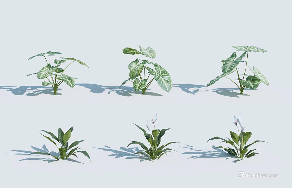 Different Types Of Potted Indoor Green Leafy Houseplants With Fresh Foliage 3d model 