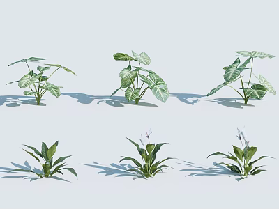 Different Types Of Potted Indoor Green Leafy Houseplants With Fresh Foliage 3d model