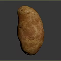 Single Fresh Orange Potato with Natural Rough Skin Texture on Dark Background