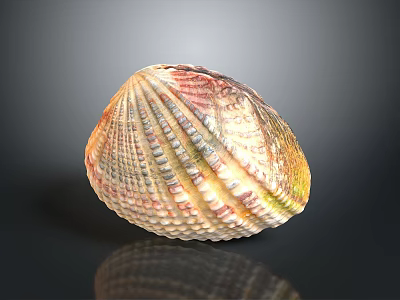 Colorful Textured Seashell With Vibrant Red Yellow Green Hues On Dark Surface 3d model