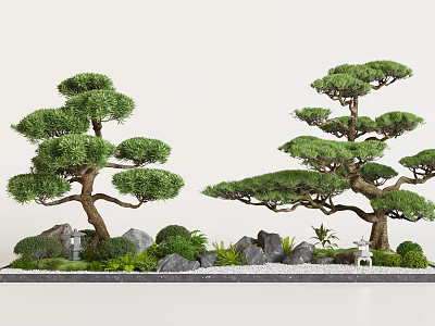 Traditional Zen Garden Landscape with Shaped Pine Trees Stones and Mossy Plants 3d model