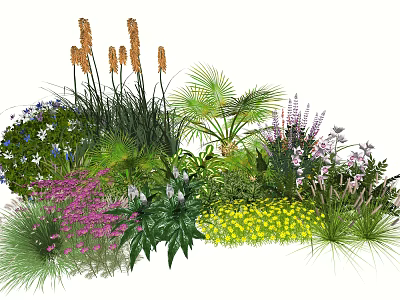 Vibrant Plant Combination For Garden With Purple Yellow Flowers And Green Foliage 3d model