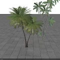 Lush Palm Trees In Outdoor Setting With Stone Tile Ground And Dark Background