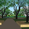 Garden Landscape Design With Tall Trees Green Lawn And Stone Pathway