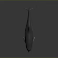 Dolphin With Open Mouth And Smooth Body On Dark Reflective Surface