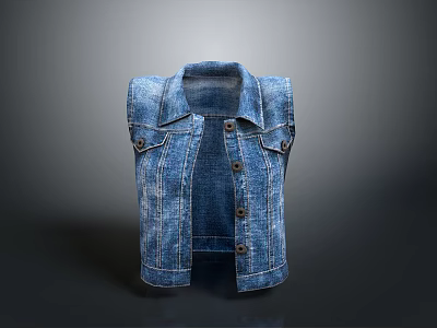 Stylish Classic Casual Denim Vest With Button Front And Lapel Design 3d model