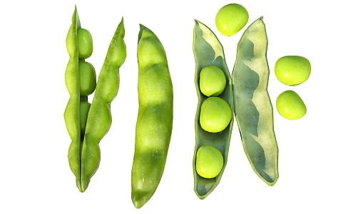 Vegetable peas 3d model