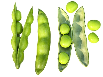 Vegetable peas 3d model