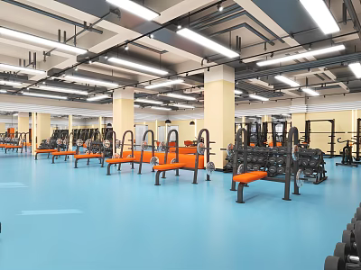 Spacious Gym Interior With Fitness Equipment Benches And Ceiling Lights 3d model