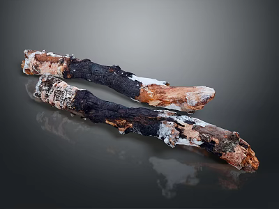 Natural Wood Stone Pieces With Natural Shape And Dark Light Brown White Surface Texture 3d model