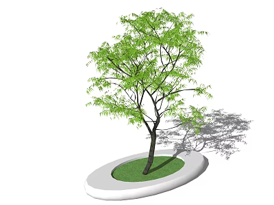 Oval Shaped Tree Pit With Green Leaf Tree And Grass Surface Design 3d model