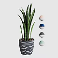 Snake Plant Potted In Wave Patterned Ceramic Pot With Blue Gray Pink Green Decorative Balls