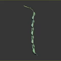 Long Vertical Green Pod Like Structure With Cylindrical Segments Stem On Gray Background And Shiny Reflection