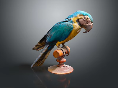 Vibrant Blue and Yellow Parrot Perched on a Wooden Perch with Round Base 3d model